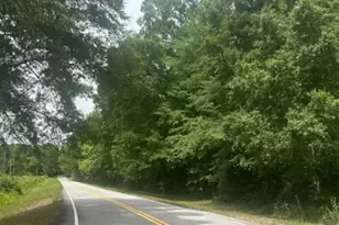 Lot 1 (40+/- Ac Line Creek Rd, Senoia, GA 30276 - Photo 1
