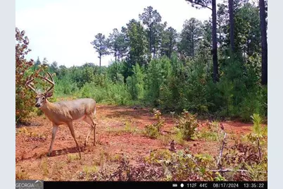 2 Seven Islands Road, Madison, GA 30650 - Photo 27