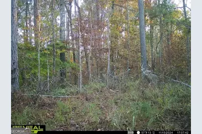 2 Seven Islands Road, Madison, GA 30650 - Photo 51