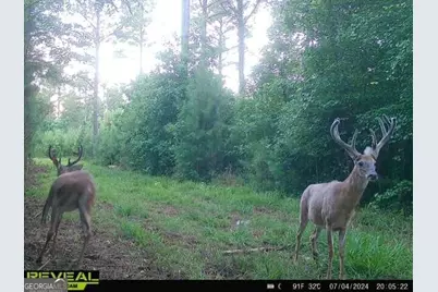 2 Seven Islands Road, Madison, GA 30650 - Photo 63