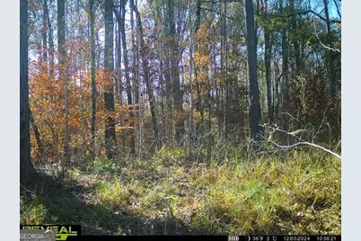 2 Seven Islands Road, Madison, GA 30650 - Photo 17