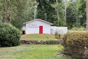 0 Manchester Hwy, Woodland, GA 31836 - Photo 9