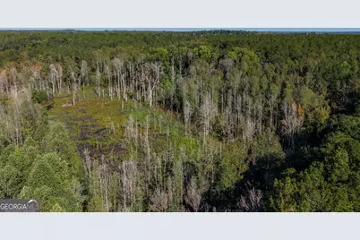 2381 Ga Highway 171 N, Louisville, GA 30434 - Photo 19