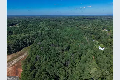 00 Kate Freeman Road, Lagrange, GA 30240 - Photo 3