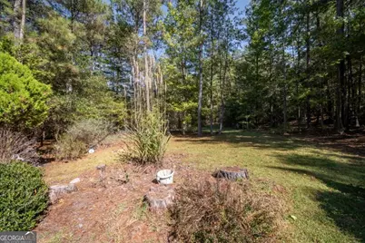 1550 Branch Road, Bishop, GA 30622 - Photo 43