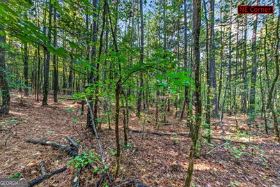 105 Shannondale Road, Winterville, GA 30683 - Photo 7