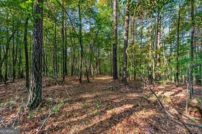 105 Shannondale Road, Winterville, GA 30683 - Photo 21