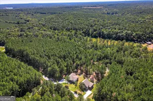 1192 Sunset Cove, Tignall, GA 30668 - Photo 53