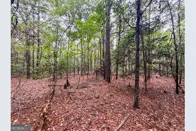 1 South Indian Trail Road, Sandersville, GA 31082 - Photo 27