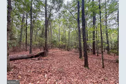 1 South Indian Trail Road, Sandersville, GA 31082 - Photo 29
