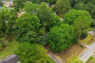11 Dew Pl, Forsyth, GA 31029 - Photo 49