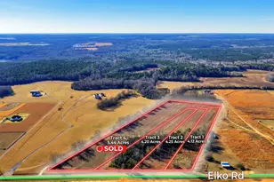 Tract 2 Elko Rd, Elko, GA 31025 - Photo 1