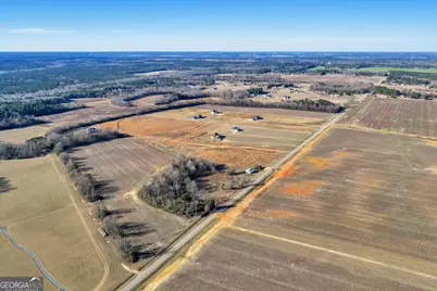 Tract 2 Elko Road, Elko, GA 31025 - Photo 3