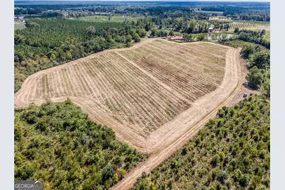 0 Tanner Road, Alma, GA 31510 - Photo 11
