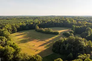 958 Suttles Rd, Mount Airy, GA 30563 - Photo 63