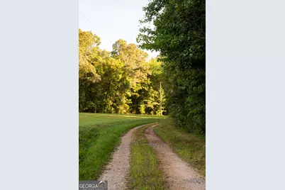 958 Suttles Road, Mount Airy, GA 30563 - Photo 61