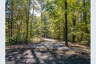 Lot 22,23,0 Abbott Mill Road, Ellijay, GA 30540 - Photo 5