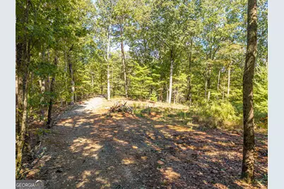 Lot 22,23,0 Abbott Mill Road, Ellijay, GA 30540 - Photo 9