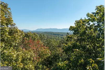 Lot 22,23,0 Abbott Mill Road, Ellijay, GA 30540 - Photo 11