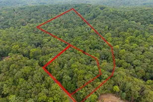 0 Abbott Mill Rd, Ellijay, GA 30540 - Photo 1