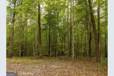 0 Abbott Mill Road, Ellijay, GA 30540 - Photo 11