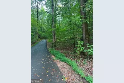 Lots 3&amp;4 Amicalola Woods Road, Dawsonville, GA 30534 - Photo 3