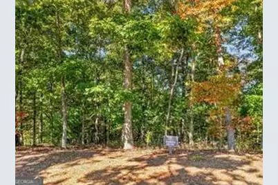 Lot 144 Hickory Way #144, Mineral Bluff, GA 30559 - Photo 5