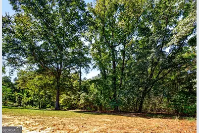 1337 Johnny Miller Road, Buena Vista, GA 31803 - Photo 41