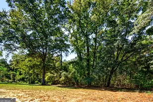 1337 Johnny Miller Rd, Buena Vista, GA 31803 - Photo 41