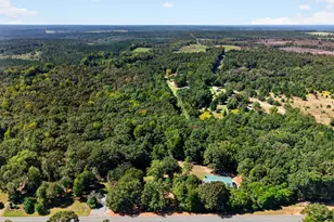 1337 Johnny Miller Rd, Buena Vista, GA 31803 - Photo 5