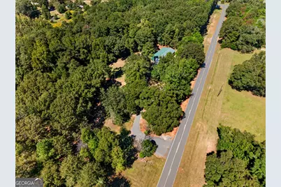 1337 Johnny Miller Road, Buena Vista, GA 31803 - Photo 7