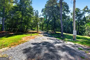 1337 Johnny Miller Rd, Buena Vista, GA 31803 - Photo 17