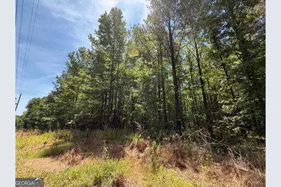 467 N Raburn Road, Bremen, GA 30110 - Photo 3