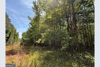 467 N Raburn Road, Bremen, GA 30110 - Photo 5