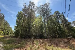 467 N Raburn Rd, Bremen, GA 30110 - Photo 1