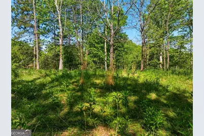 Lot 1 Summit Drive, Dahlonega, GA 30533 - Photo 5