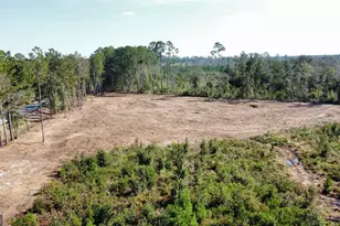 0 Hwy 46, Statesboro, GA 30458 - Photo 1