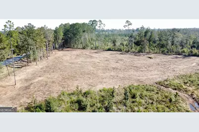 0 Highway 46, Statesboro, GA 30458 - Photo 3