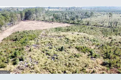0 Highway 46, Statesboro, GA 30458 - Photo 5