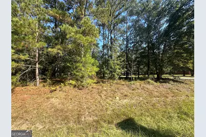 0 Bascom Road, Sylvania, GA 30467 - Photo 5