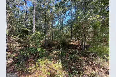 0 Bascom Road, Sylvania, GA 30467 - Photo 7