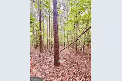 0 Bennett Road #LOT 2 AND 3, Homer, GA 30547 - Photo 7