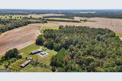 916 E Flournoy Road, Hawkinsville, GA 31036 - Photo 57