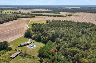 916 E Flournoy Rd, Hawkinsville, GA 31036 - Photo 57