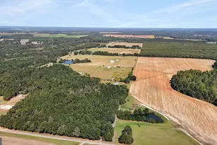 916 E Flournoy Rd, Hawkinsville, GA 31036 - Photo 63