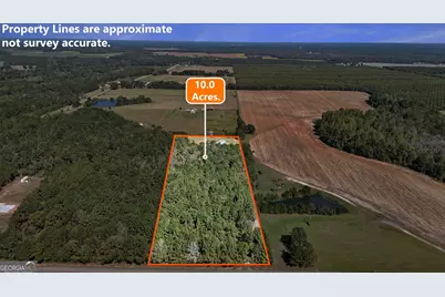916 E Flournoy Road, Hawkinsville, GA 31036 - Photo 61