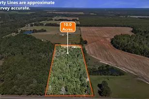 916 E Flournoy Rd, Hawkinsville, GA 31036 - Photo 61