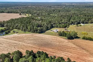 916 E Flournoy Rd, Hawkinsville, GA 31036 - Photo 59