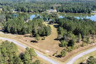 377 Josh And Scott Wy, Folkston, GA 31537 - Photo 1