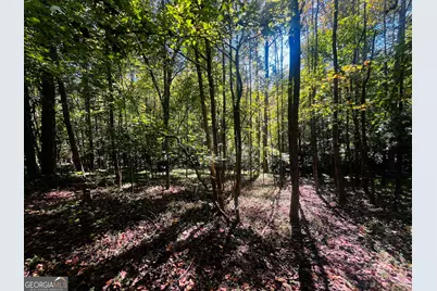 Lot 14 Lakeview Court, Baldwin, GA 30511 - Photo 1